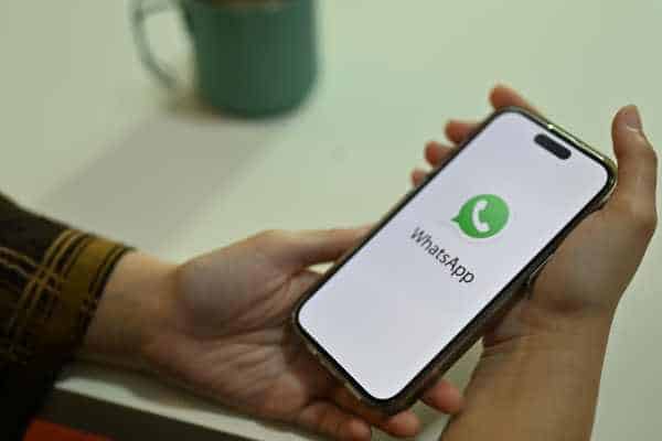 Advantages and Disadvantages of WhatsApp Business: Complete Assessment - NexBlog
