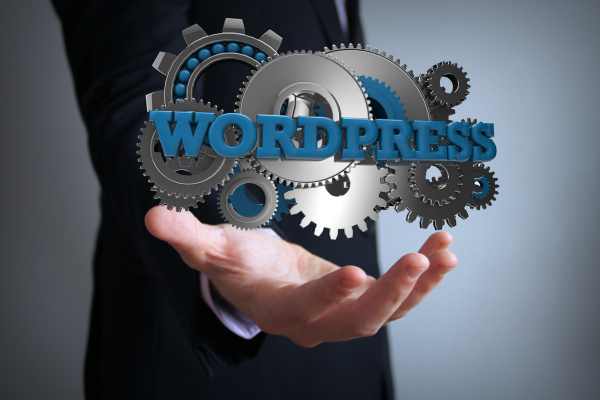 Chatbot WhatsApp WordPress