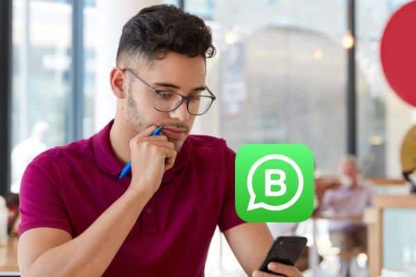 Advantages and Disadvantages of Whatsapp Business Complete Assessment
